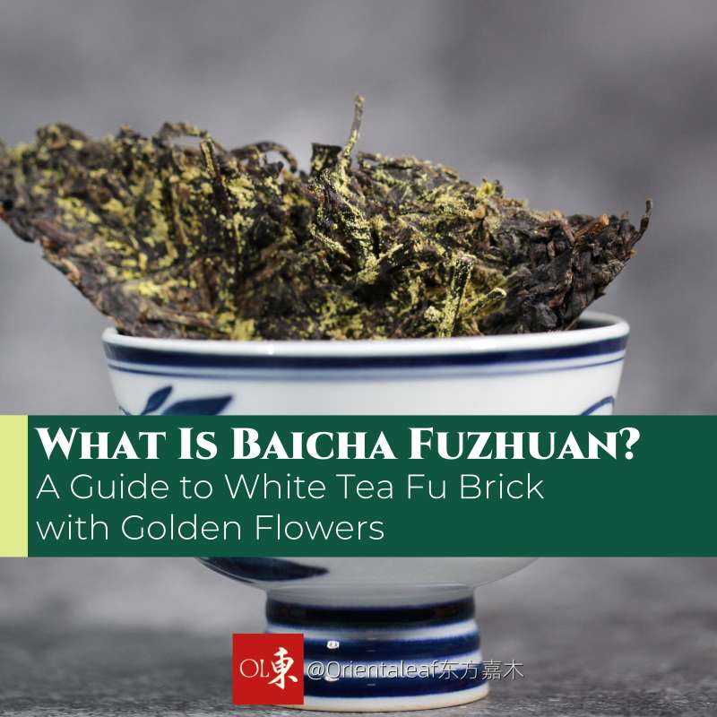 What Is Baicha Fuzhuan? A Guide to White Tea Fu Brick with Golden Flowers