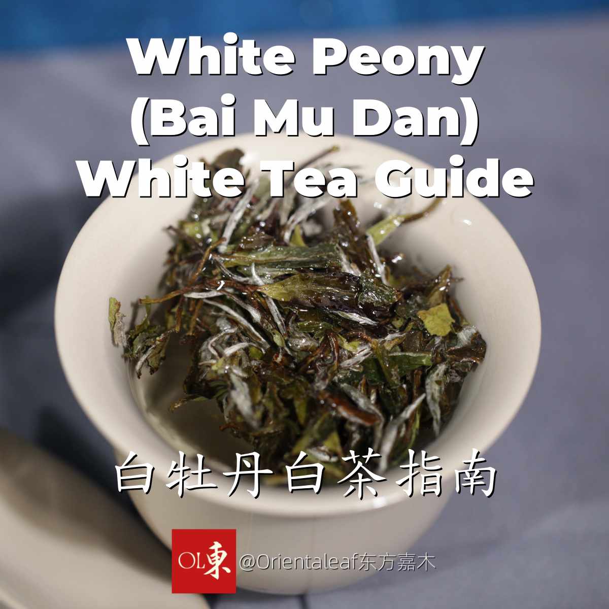 Mu Can Tea White Peony Tea (Bai Mu Dan): Ultimate Guide – Orientaleaf