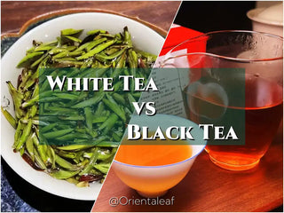 White Tea vs Black Tea: Unveiling the Differences and Benefits