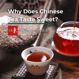 White porcelain cup of deep amber-red Pu-erh tea in front of an aged tea cake and a glass pitcher being poured - cover image for a beginner's guide to natural sweetness in Chinese tea