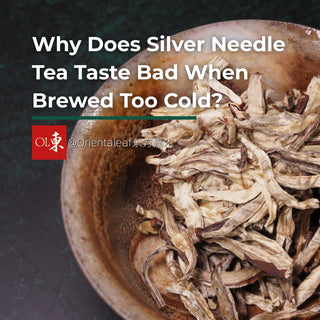 Dry Silver Needle white tea leaves in a clay bowl with the text Why Does Silver Needle Tea Taste Bad When Brewed Too Cold?