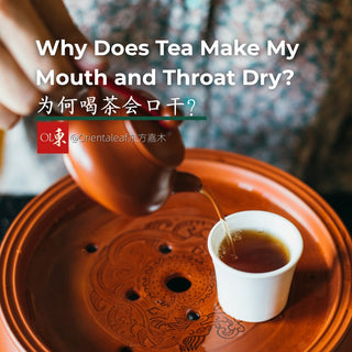 Why Does Tea Make My Mouth and Throat Dry? (Green, Black & Herbal Tea)