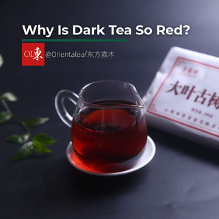 Why Is Dark Tea So Red? Theabrownin & Tea Liquor Color