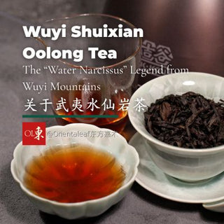 Wuyi Shuixian Oolong Tea: The “Water Narcissus” Legend from Wuyi Mountains