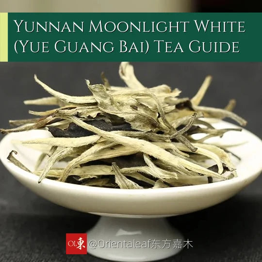 Yunnan Moonlight White (Yue Guang Bai) Tea Guide – Orientaleaf