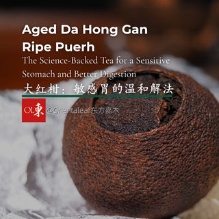 A close-up shot of an Aged Da Hong Gan Ripe Puerh tea, a gentle and science-backed tea choice for soothing a sensitive stomach and improving digestion.