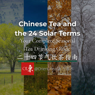 Orientaleaf seasonal banner for "Chinese Tea and the 24 Solar Terms: Your Complete Seasonal Tea Drinking Guide" featuring four distinct seasonal panels from spring to winter.