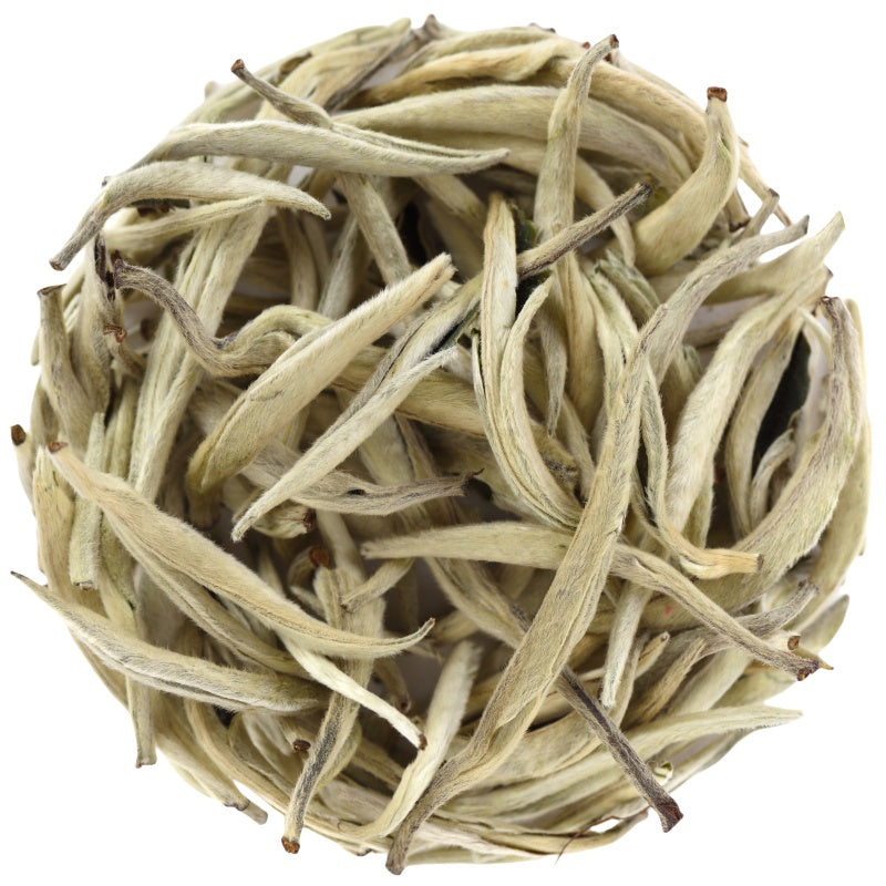 Silver Needle white tea