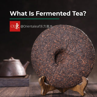 What Is Fermented Tea? Chinese Varieties & Benefits