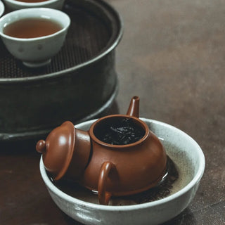 gongfu tea clay teapot