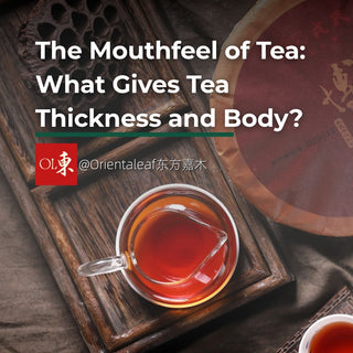 Chinese tea ceremony scene with dark red tea liquor in a glass sharing pitcher and blue-trimmed white porcelain cups on a wooden tea tray, beside a ripe Pu'er tea cake — a visual guide to tea mouthfeel, thickness and body.