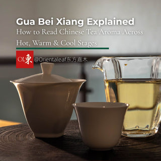 Guide to reading Chinese tea aroma stages (Gua Bei Xiang) by Orientaleaf, with a traditional white gaiwan and glass gongfu tea pitcher.