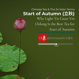 Chinese tea and 24 solar terms: Light Tie Guan Yin Oolong tea lotus leaf background for Start of Autumn.