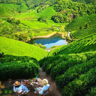 Two people are camping in the shade of the tea mountain. In the distance is a pool.