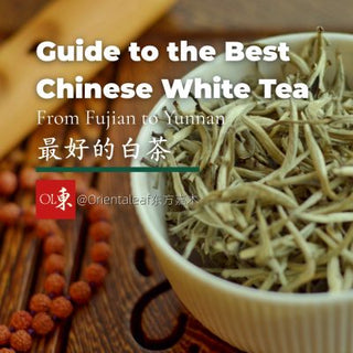 A guide to the best Chinese white tea, featuring dried high-quality white tea leaves and buds in a white bowl, with text mentioning Fujian and Yunnan varieties like Silver Needle and White Peony.