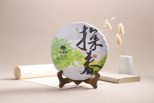 Mid-Aged Sheng/Roh-Pu-Erh — Trocken gelagert in Xi'an, bereit zum Trinken