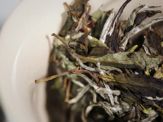 Fuding White Tea