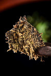 Fuzhuan tea