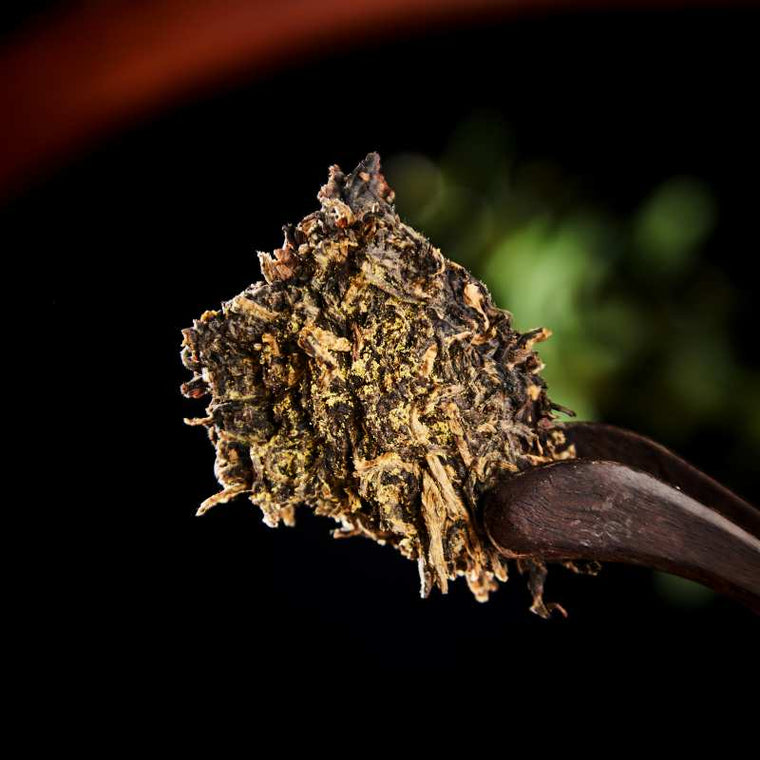 Fuzhuan tea