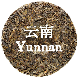 Teas From Yunnan Orientaleaf