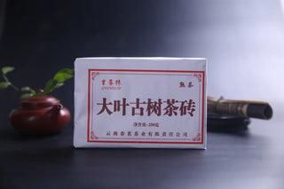 Front packaging of 2006 Dry-Aged Lincang Ripe Pu-erh Ancient Tree Tea Brick, showing authentic vintage label.