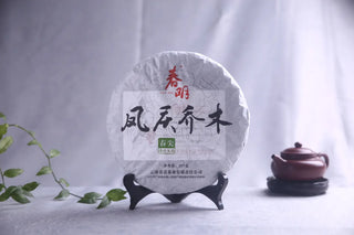 Front view of 2016 Spring Tips Raw Pu-erh cake from Yunnan Chunming Tea Factory.