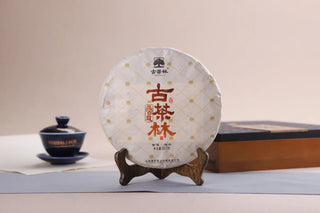 Premium 2019 Spring Lincang Raw Pu-erh Tea Cake Ancient Tree Series Display
