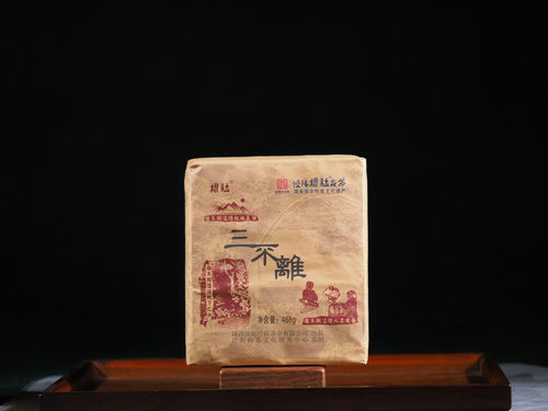 Té em Tijolo Fu Jingyang Genshe 2018 | Os Três Elementos Essenciais
