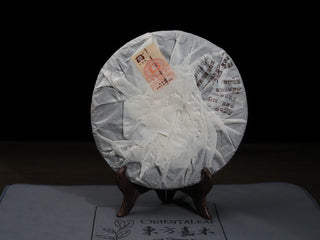 Back view of wrapped 2006 Dayi 7572 shou Puerh tea cake showing traditional paper fold