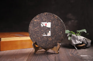 Back view of the 300-year-old ancient tree ripe Pu-erh cake showing compressed tea leaves.