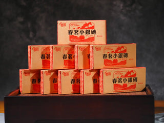 Ten Yunnan Mini Raw Pu-erh Tea Bricks Single Mini Boxes (10 x 40g) arranged together, showcasing portable tea packaging