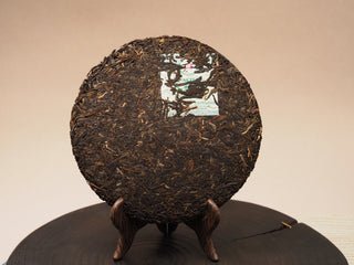 Unwrapped 2019 Dayi 8542 raw puerh tea cake on display stand