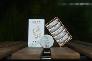 Xigui Single-Origin Raw Pu-erh Coin Cakes — Mengku Rongshi