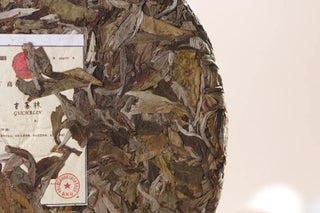 Close-up of aged Shoumei white tea dry leaves showing silvery buds and brownish leaves.