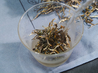 Pouring hot water over Ailao Golden Tips tea leaves to release sweet potato and honey aromas.
