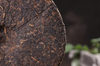 Close-up of aged ripe Pu-erh tea leaves, showcasing the high-quality fermentation and dry-storage texture.