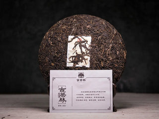 Unwrapped 2019 Lincang Ancient Arbor Sheng Pu-erh Tea Cake 357g displayed with product information insert card