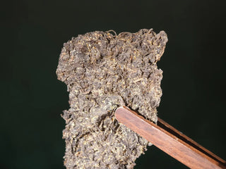 Close-up of the compressed YXT Jingyang Golden Flower Fu Tea Special Grade brick, clearly showing the beneficial "Golden Flower" (Jin Hua) bloom.