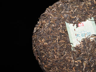 Close-up of 2016 Dayi 7532 raw Puerh cake with the original paper insert (Neipiao) nested on the aged Sheng Puerh leaves.
