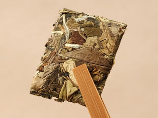 Compressed White Peony tea biscuit held with bamboo tongs, showing Fuding Dabai leaves pressed into a square, 2018 harvest.