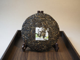 Unwrapped 2019 Tan Chun raw puerh tea cake displayed on a wooden stand, highlighting its tight compression.