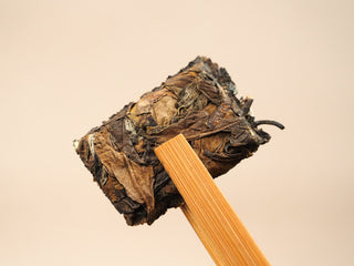 Section of 2024 Fuding Shou Mei and Chen Pi waffle cake held with bamboo tongs, showing dark leaves with citrus peel strips.