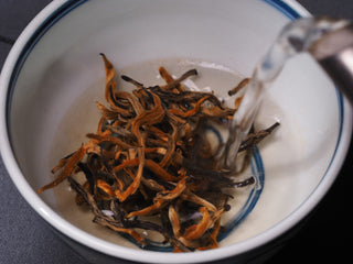 Steeping Crimson Dianhong Black Tea with deep fermented golden buds