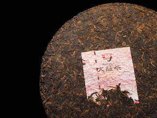 Close-up of the dry tea leaf surface of Dayi 7572 ripe puerh cake, highlighting golden buds and the Menghai Tea Factory label.