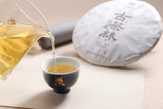 Pouring bright yellow 2018 Shoumei white tea liquor into a traditional teacup.
