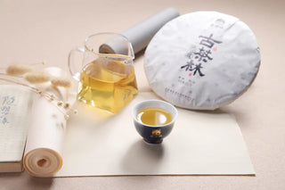 2018 Ancient Tree Shoumei White Tea set with tea cake, glass pitcher, and teacup.