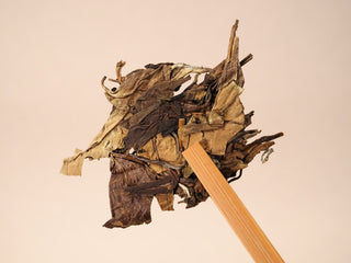 Dry 2018 Fuding Shou Mei leaves held with bamboo tongs, showing broad mature sun-dried leaves with natural stems.