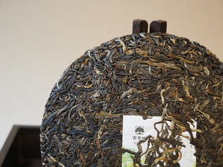 Macro close-up of the tea cake edge showing silver-white buds and dark green ancient tree leaves.