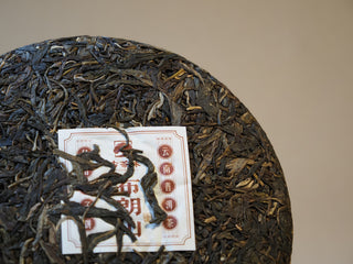 Detailed view of sun-dried ancient tree sheng pu-erh tea leaves compressed into cake