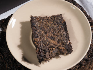 A broken piece of the 2019 aged Fu Brick tea, showcasing the inner layers where Golden Flora probiotics develop.
